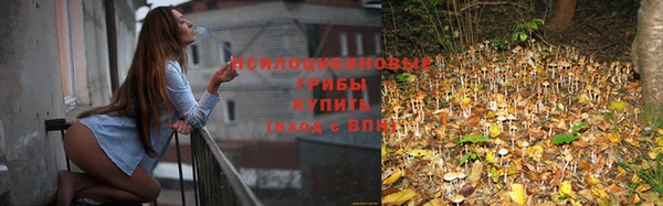 твердый Каменск-Шахтинский