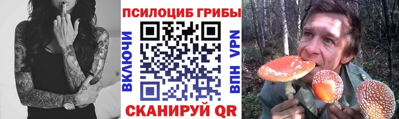 мега рабочий сайт  магазин продажи   Кандалакша  Галлюциногенные грибы MAGIC MUSHROOMS 