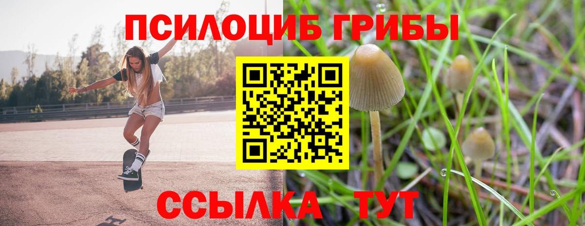 Кандалакша  Галлюциногенные грибы Magic Shrooms  Галлюциногенные грибы ЛСД  Вход с VPN 