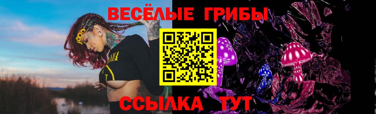 Галлюциногенные грибы мухоморы Кандалакша
