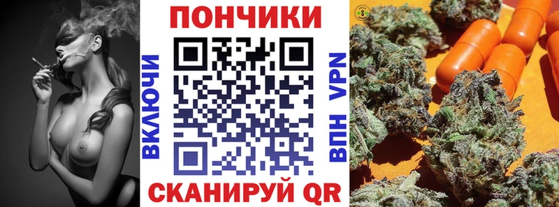 магазин продажи наркотиков  Кандалакша  блэк спрут вход  Бошки Шишки ГИДРОПОН 